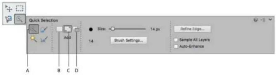 ADOBE Photoshop Elements 15 - Utilisation de l'outil Sélection rapide - 1