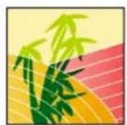 ADOBE Photoshop Elements 15 - A propos des options d'opacité et de fusion des calques - 2