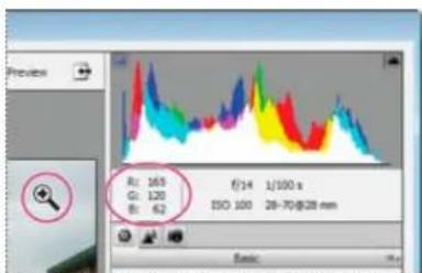 ADOBE Photoshop Elements 15 - Utilisation de l'histogramme et des valeurs RVB dans les fichiers Camera Raw - 1
