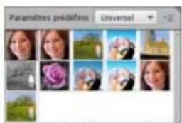 ADOBE Photoshop Elements 15 - Réglage de la couleur et de la tonalité à l'aide des outils de forme dynamique - 2