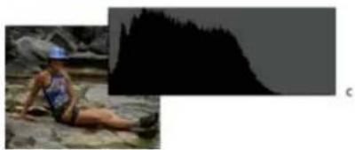 ADOBE Photoshop Elements 15 - A propos des historiammes - 4