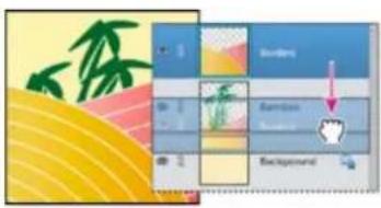 ADOBE Photoshop Elements 15 - Modification de l'ordre d'emplement des calques - 1