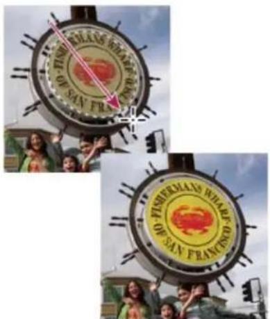 ADOBE Photoshop Elements 15 - A propos des sélections - 1