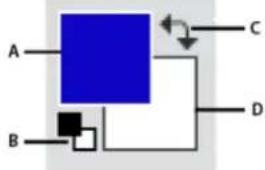 ADOBE Photoshop Elements 15 - A propos des couleurs de premier plan et d'arrière-plan - 1