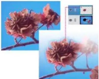 ADOBE Photoshop Elements 15 - Création d'un calque à partir d'une portion de calque - 1