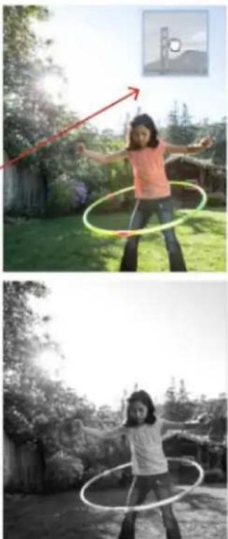 ADOBE Photoshop Elements 15 - Application d'un effet - 2