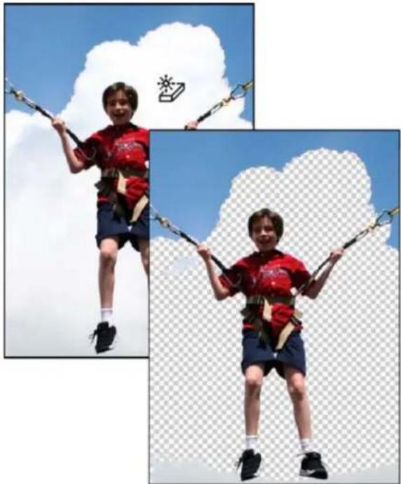 ADOBE Photoshop Elements 15 - Utilisation de l'outil Gomme magique - 1
