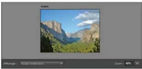 ADOBE Photoshop Elements 15 - Concordance de style Photomerge   <\i>Non disponible dans Photoshop Elements 13 ou version ultérieure - 4