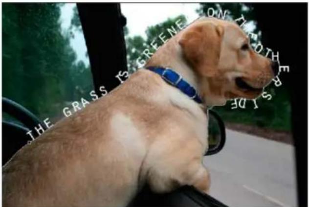 ADOBE Photoshop Elements 15 - Utilisation de l'outil Texte sur la selection - 3