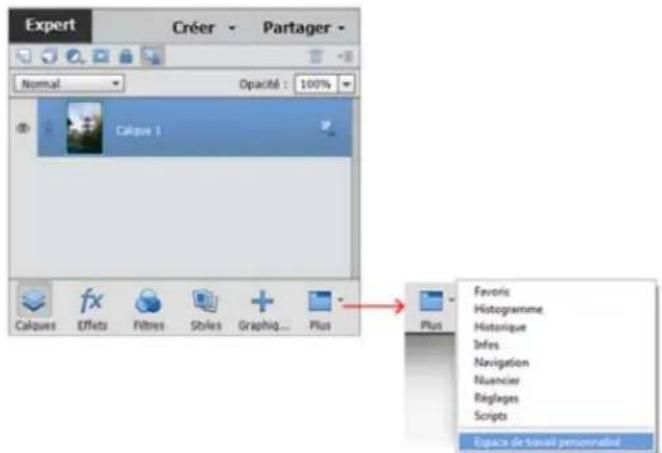 ADOBE Photoshop Elements 15 - A propos des panneaux - 1