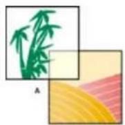 ADOBE Photoshop Elements 15 - A propos des options d'opacité et de fusion des calques - 1