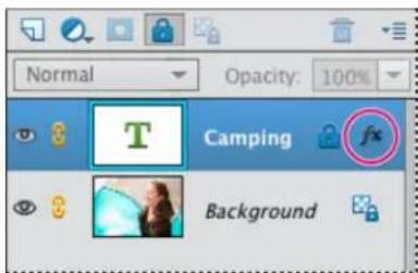 ADOBE Photoshop Elements 15 - Application d'un style de calque - 1
