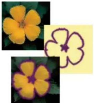 ADOBE Photoshop Elements 15 - Encadrement d'une selection existante par un nouveau cadre de selection - 1