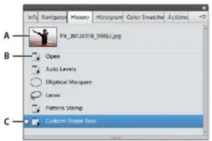 ADOBE Photoshop Elements 15 - Utilisation du panneau Historique lors de la modification - 1