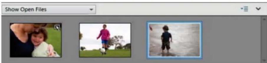 ADOBE Photoshop Elements 15 - Utilisation de la corbeille des photos - 1