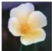 ADOBE Photoshop Elements 15 - Mémorisation, récapération ou suppression d'une seLECTION - 3