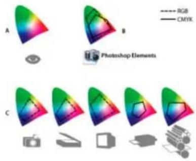ADOBE Photoshop Elements 15 - A propos de la gestion des couleurs - 1
