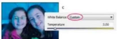 ADOBE Photoshop Elements 15 - Commandes de la balance des blancs pour les fichiers Camera Raw - 3