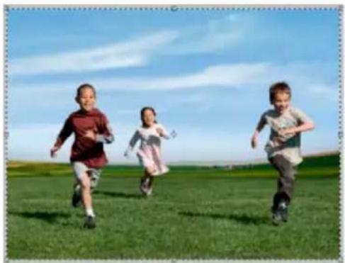 ADOBE Photoshop Elements 15 - Définition des paramètres d'appareil photo personalisés - 2