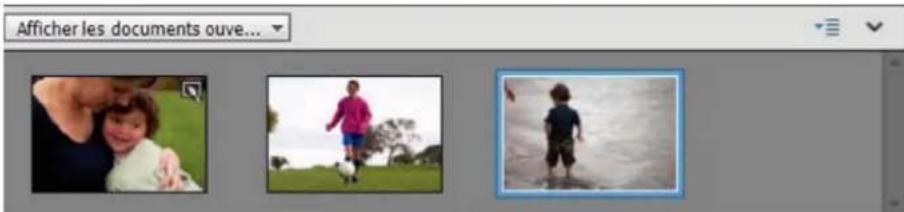 ADOBE Photoshop Elements 15 - Utilisation de la corbeille des photos - 1