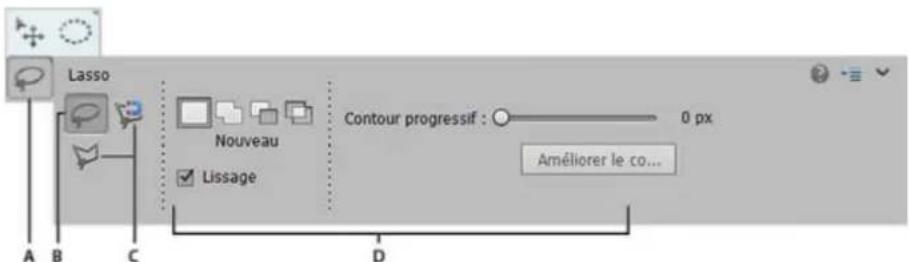 ADOBE Photoshop Elements 15 - Définition des options des outils - 1