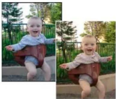 ADOBE Photoshop Elements 15 - Application du filtrre Photo - 1