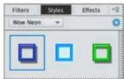 ADOBE Photoshop Elements 15 - Application d'un style de calque - 2