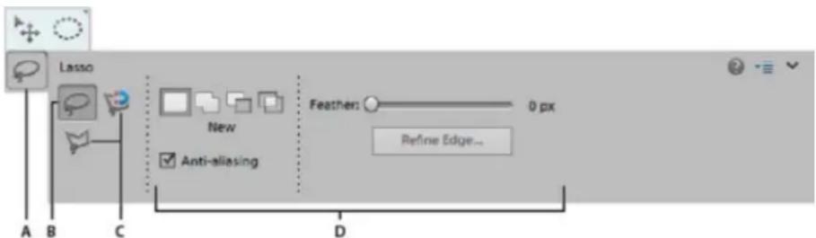 ADOBE Photoshop Elements 15 - Définition des options des outils - 1