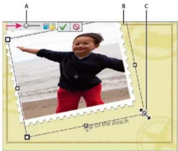 ADOBE Photoshop Elements 15 - Repositionnement ou redimensionnement de photos dans un projet photo - 1