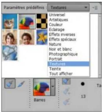 ADOBE Photoshop Elements 15 - Réglage de la couleur et de la tonalité à l'aide des outils de forme dynamique - 3