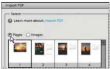 ADOBE Photoshop Elements 15 - Ouverture d'un fichier PDF - 1