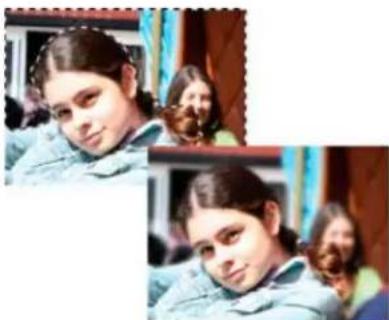 ADOBE Photoshop Elements 15 - Flou et Plus flou - 1