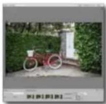 ADOBE Photoshop Elements 15 - Propositions de recadrage automatique - 2