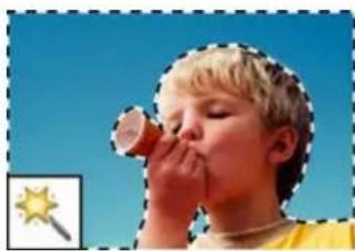 ADOBE Photoshop Elements 15 - A propos des outils de selection - 6