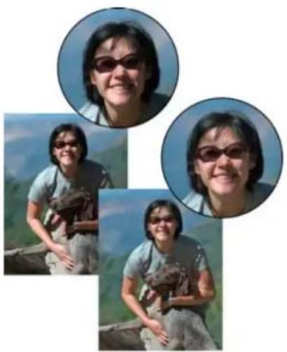 ADOBE Photoshop Elements 15 - Amélioration des détails des tons fonçés et des tons clairs - 1