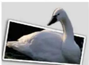 ADOBE Photoshop Elements 15 - Modification guide Hors limits - 2