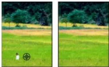 ADOBE Photoshop Elements 15 - Correction des imperfections importantes - 1