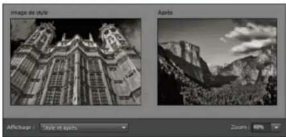 ADOBE Photoshop Elements 15 - Concordance de style Photomerge   <\i>Non disponible dans Photoshop Elements 13 ou version ultérieure - 6