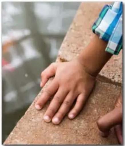 ADOBE Photoshop Elements 15 - Remplissage sensible au contenu - 1