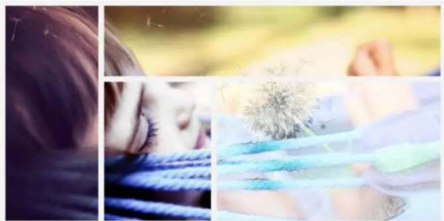 ADOBE Photoshop Elements 15 - Réveillez l'artiste qui sommeille en vous! - 1