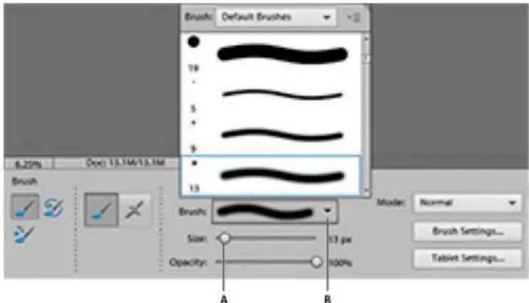 ADOBE Photoshop Elements 15 - A propos des outils de peinture - 1