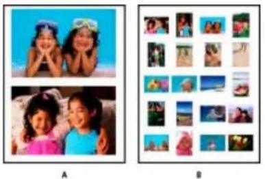 ADOBE Photoshop Elements 15 - Présentation de l'impression - 1
