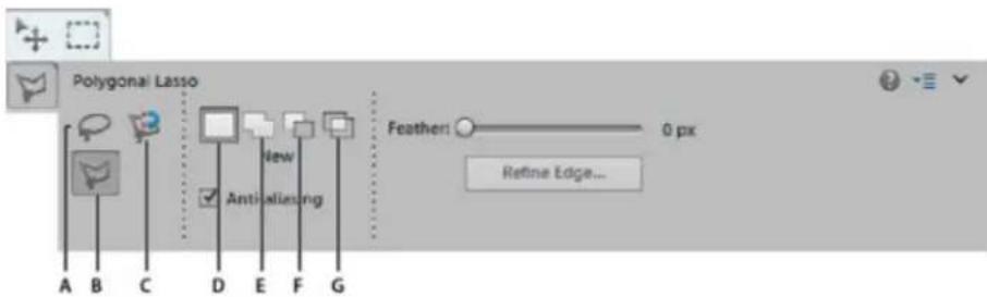 ADOBE Photoshop Elements 15 - Utilisation de l'outil Lasso polygonal - 1
