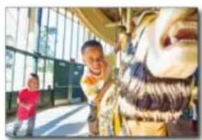 ADOBE Photoshop Elements 15 - Nouveautés de Photoshop Elements 13 - 3