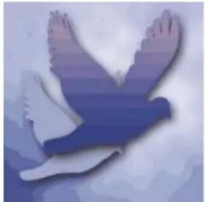 ADOBE Photoshop Elements 15 - A propos du tramage - 1