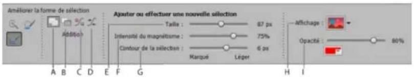 ADOBE Photoshop Elements 15 - Modification des sélections - 1