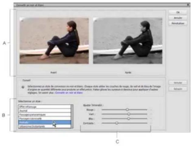 ADOBE Photoshop Elements 15 - Conversion précise des images en noir et blanc - 1