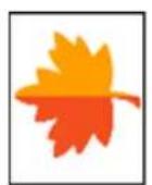 ADOBE Photoshop Elements 15 - Application d'une rotation ou d'une symétrie à un élément - 1