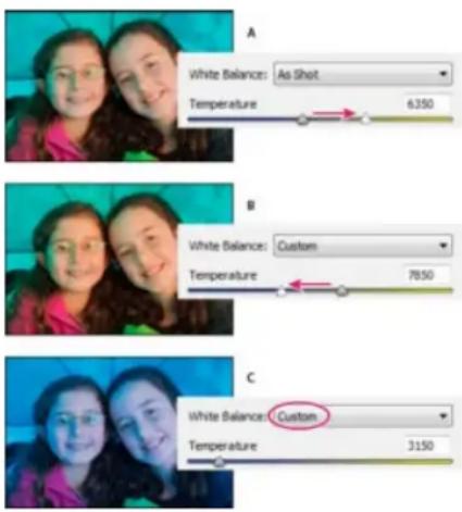 ADOBE Photoshop Elements 15 - Commandes de la balance des blancs pour les fichiers Camera Raw - 1