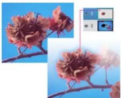 ADOBE Photoshop Elements 15 - Création d'un calque à partir d'une portion de calque - 1